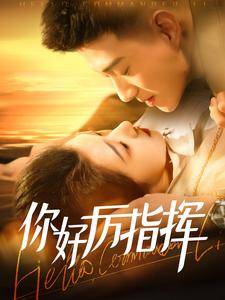 你好厉指挥全集在线观看