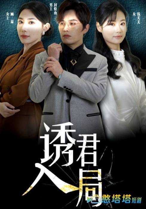 诱君入局全集在线观看