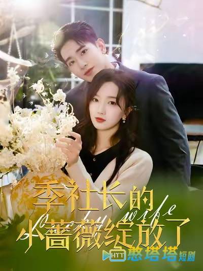 季社长的小蔷薇绽放了全集在线观看