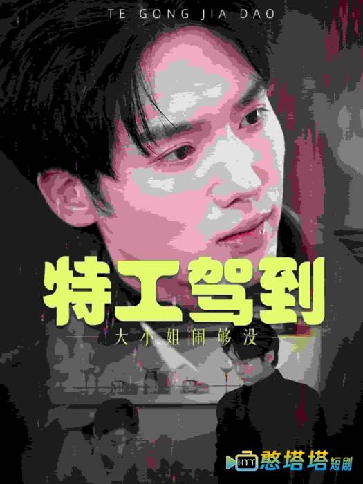特工驾到大小姐别闹了全集在线观看