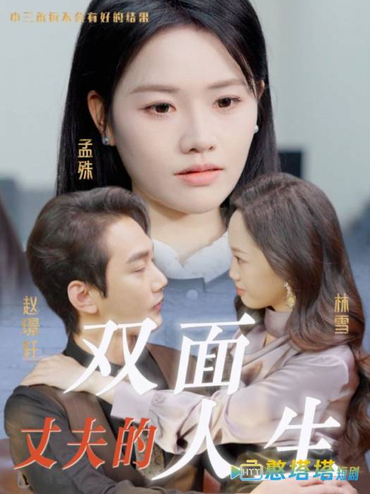丈夫的双面人生全集在线观看