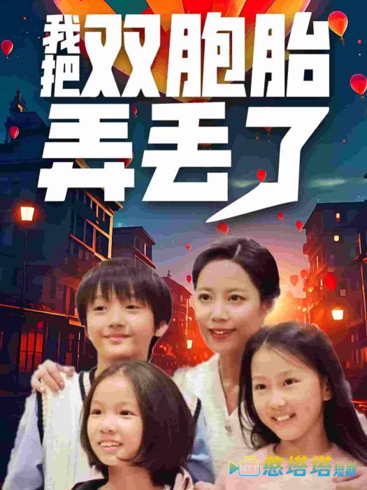 我把双胞胎弄丢了全集在线观看