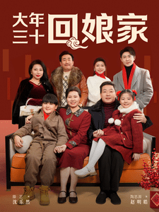 大年三十回娘家全集在线观看