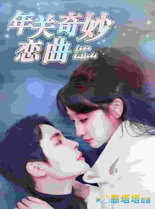 租个钻石男友回家过年全集在线观看