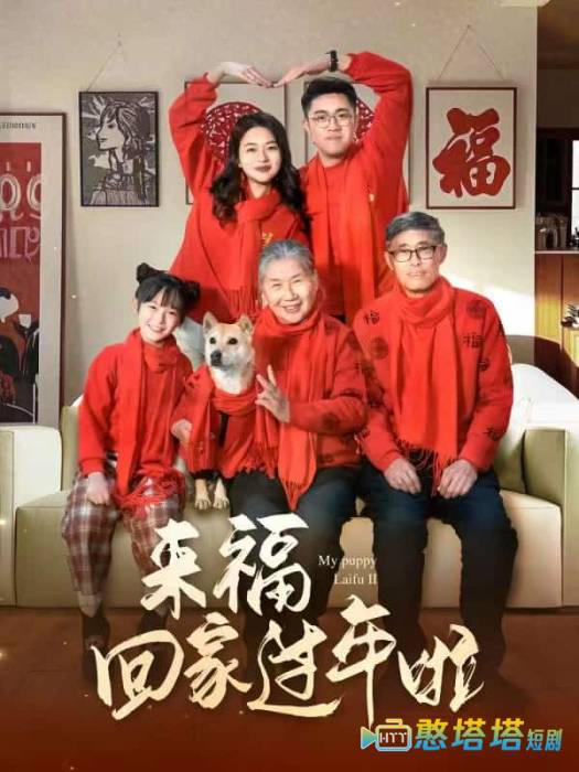 来福回家过年啦