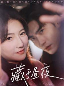 藏于昼夜全集在线观看