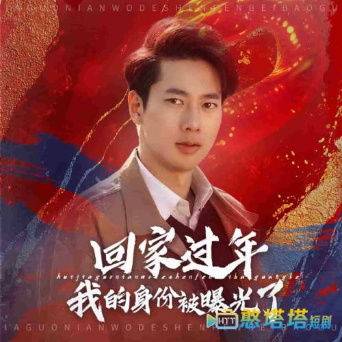 回家过年我的身份被曝光了全集在线观看