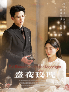 盛夜玫瑰全集在线观看