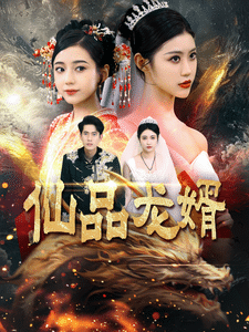 仙品龙婿全集在线观看