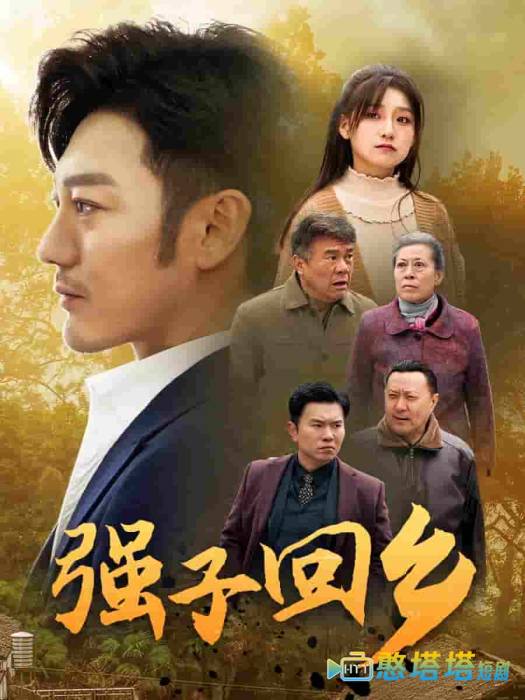 强子回乡全集在线观看