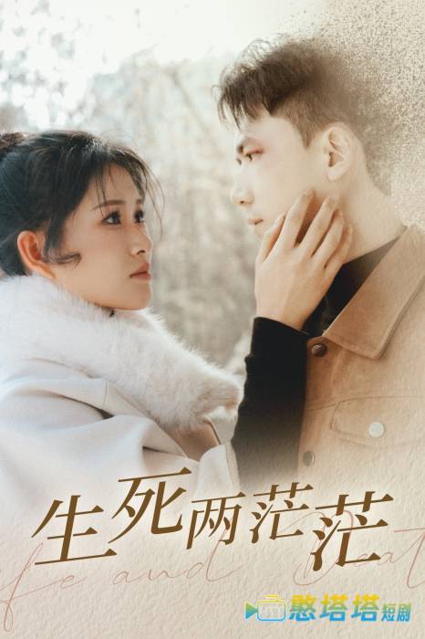 生死两茫茫全集在线观看
