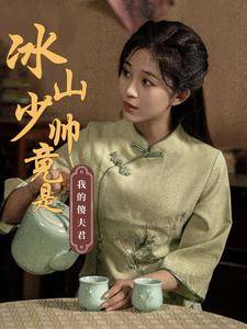 冰山少帅竟是我的傻夫君全集在线观看