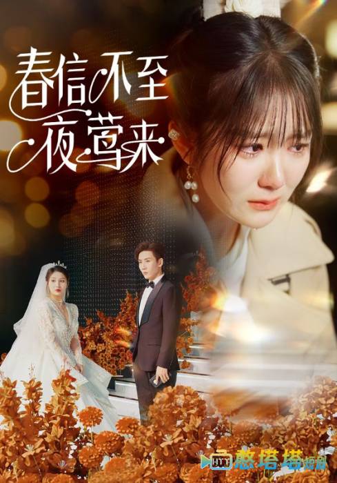 春信不至夜莺来全集在线观看