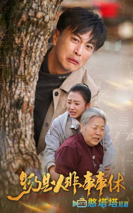 物是人非事事休全集在线观看