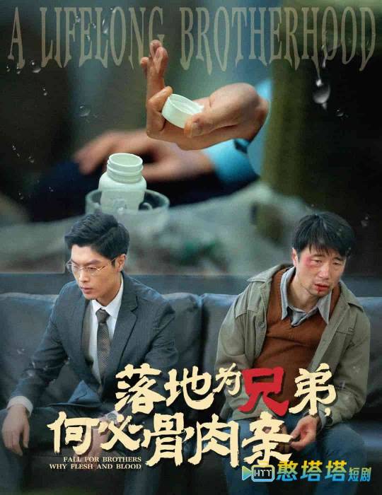落地为兄弟,何必骨肉亲全集在线观看