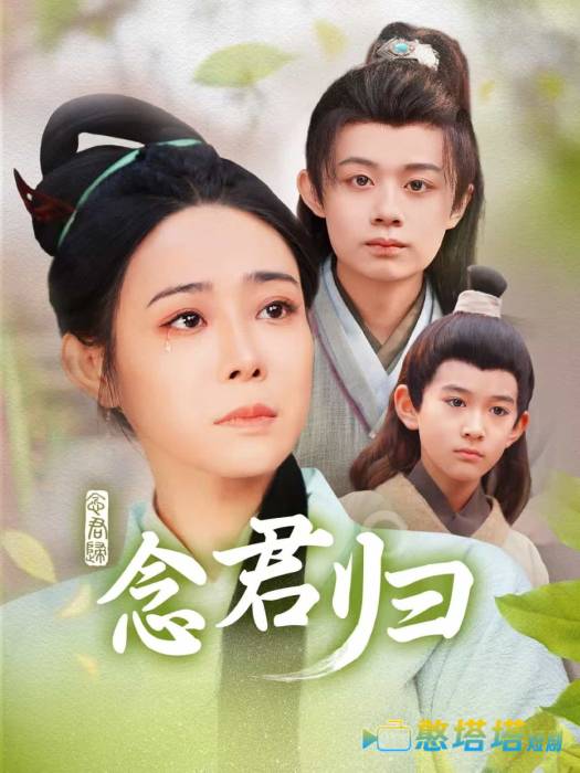 念君归全集在线观看