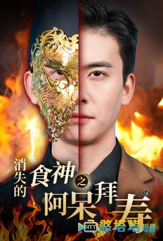 消失的厨神之阿呆拜寿全集在线观看