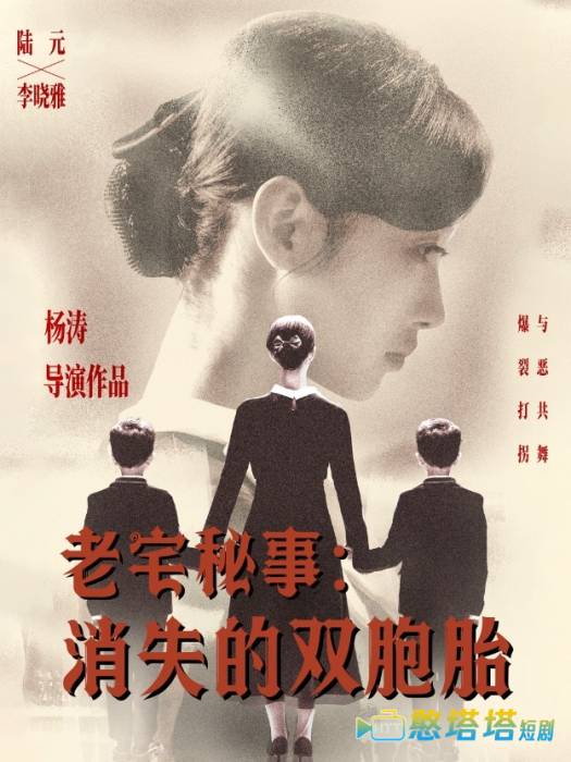 老宅秘事消失的双胞胎