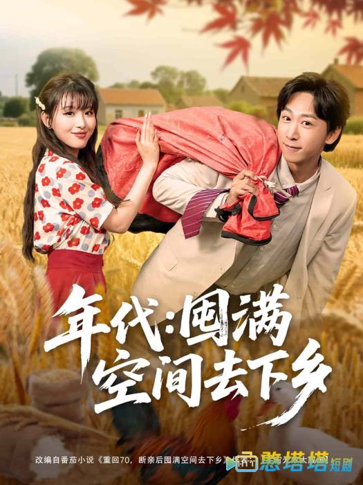 年代囤满空间去下乡全集在线观看