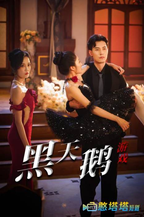 黑天鹅游戏