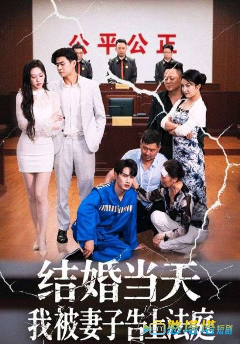 结婚当天我被妻子告上法庭