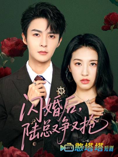 闪婚后陆总又争又抢