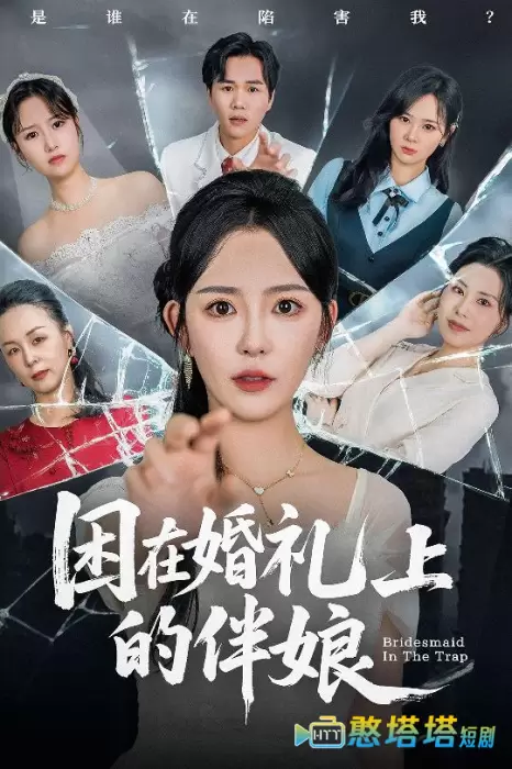 困在婚礼上的伴娘