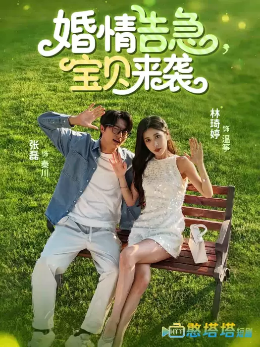 婚情告急宝贝来袭全集在线观看
