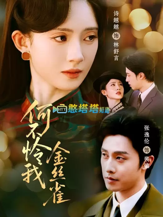 何不怜我金丝雀