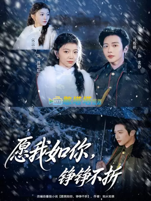 愿我如你，铮铮不折