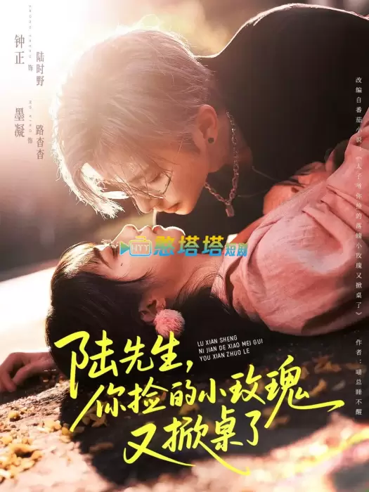 陆先生，你捡的小玫瑰又掀桌了