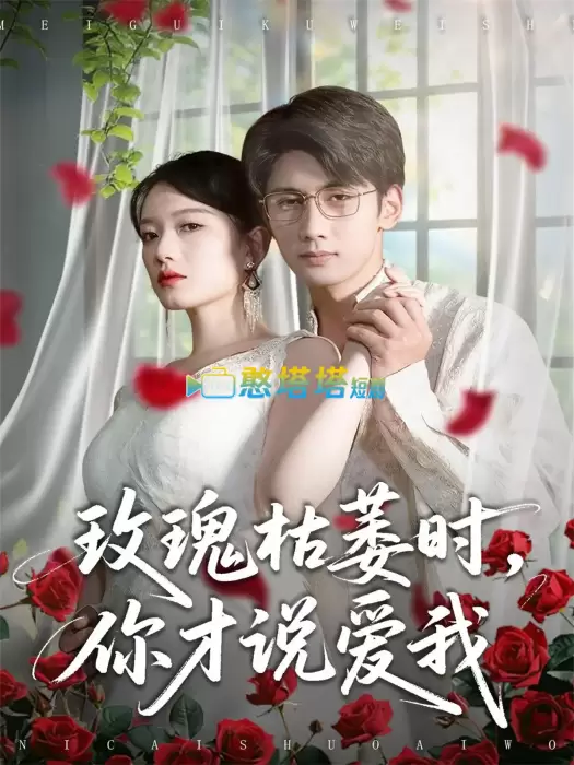 玫瑰枯萎时你才说爱我短剧免费观看全集完整版在线观看 - 总裁虐恋短剧 - 憨塔塔短剧